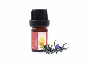Moldavian Dragonhead - 100% pure and natural essential oil (5ml)